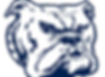 BTW Bulldog - Removed Background.png